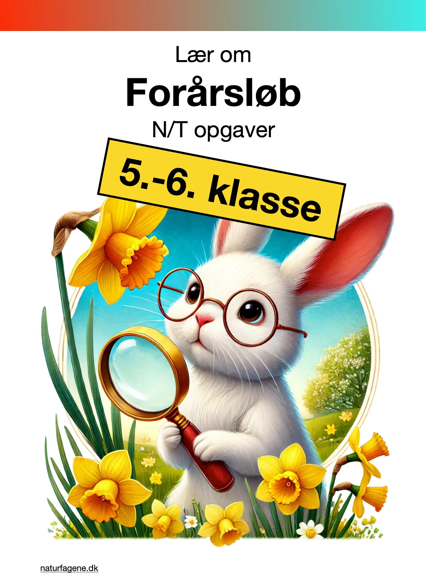 Forårsløb thumbnail